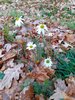 20211020_091457.jpg