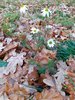 20211020_091538.jpg