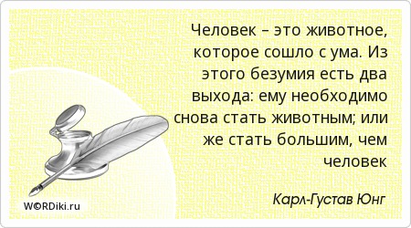 14738931291102331396.jpg
