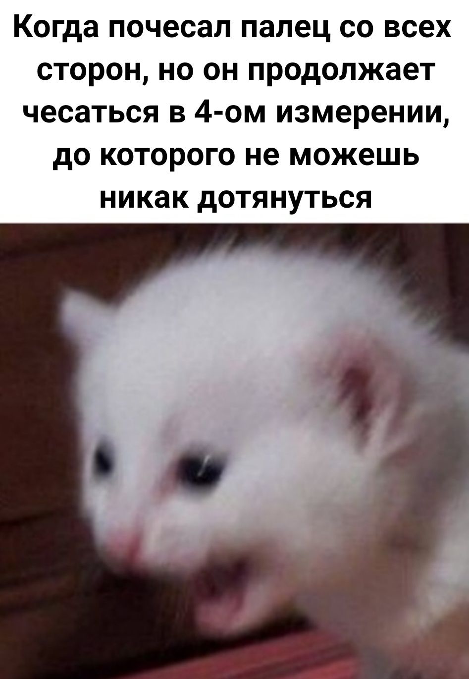 tUesd9YOd1A.jpg