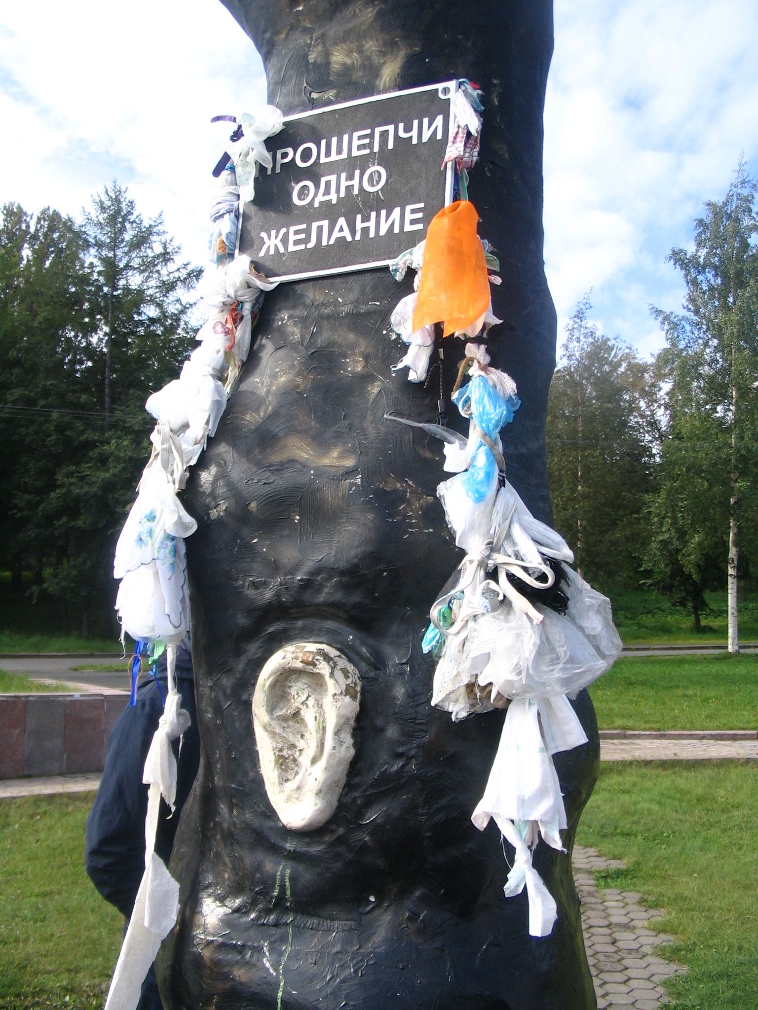 Derevo_zhelaniy_Petrozavodsk_vblizi.jpg