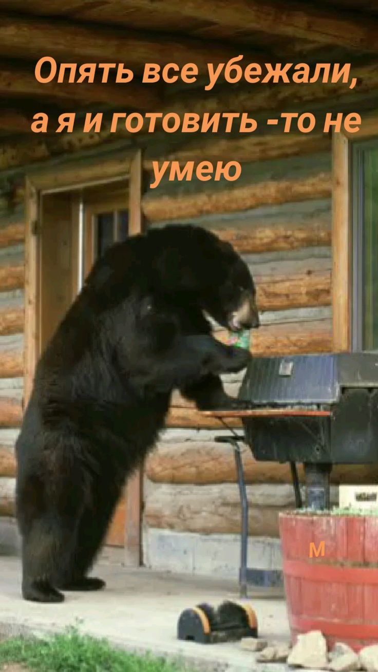 a9a3c12635ecb99063940de32c8c2cc9.jpg
