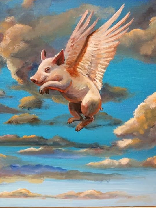 fb4ebf59a1eea93ec75fc2d30ce5c31a--baby-pigs-mini-pigs.jpg
