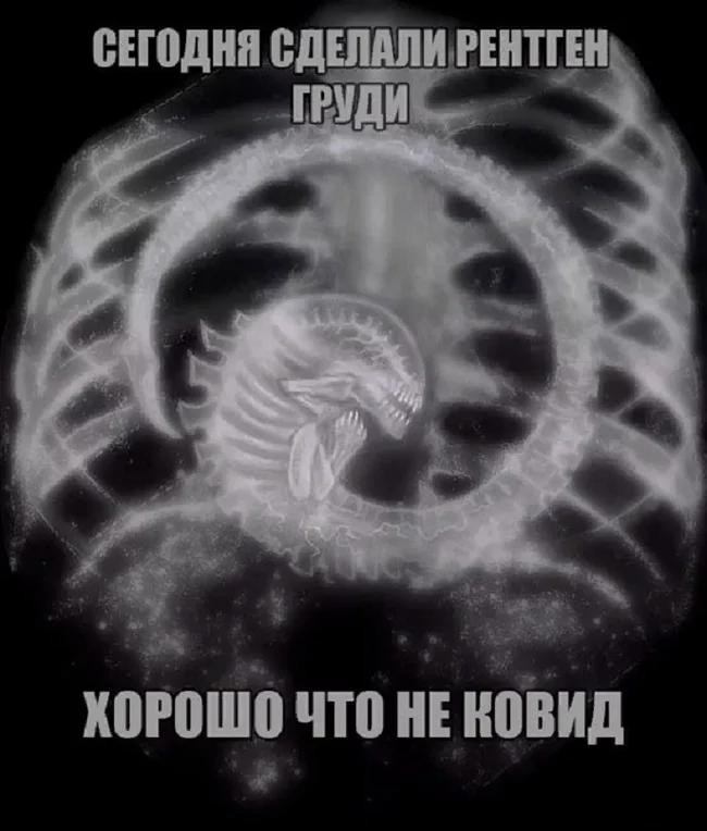 4a5f-53901e-08964d.jpg