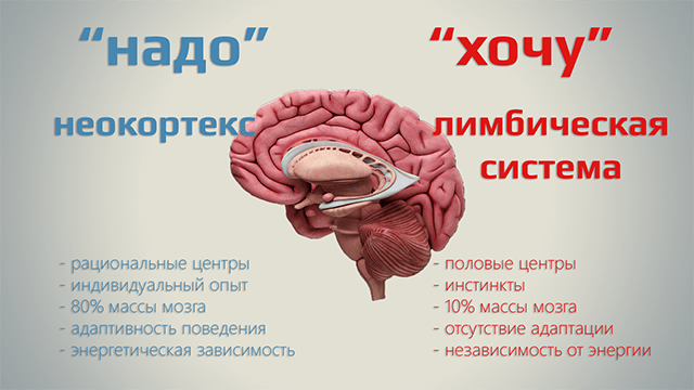 1488975012163294729.png