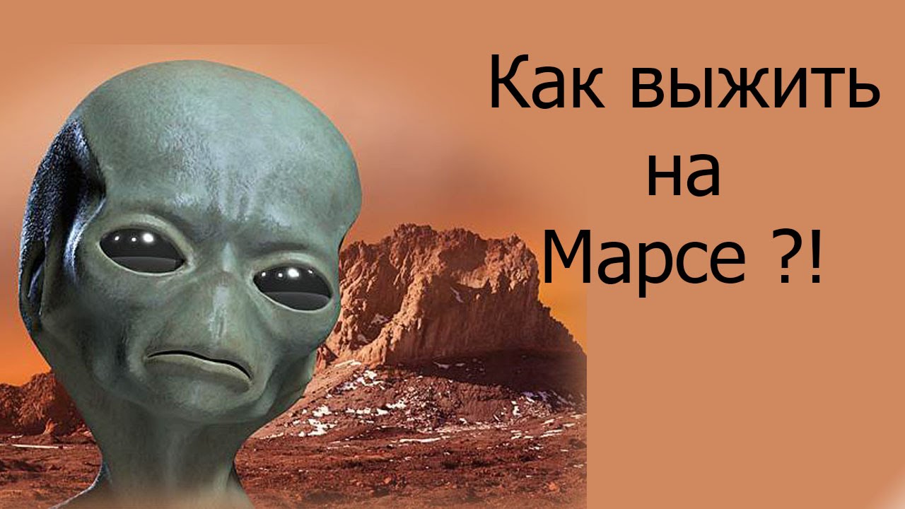 maxresdefault.jpg