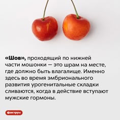 e1bde0ccbb61aa49b15f35b39a310f78.jpg