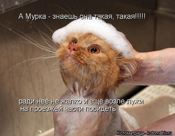 0669fb0eefb2f51be5e54299c1edec5d.jpg